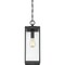 Quoizel Westover 1-Light Earth Black Mini Pendant WVR1507EK - alternate 3